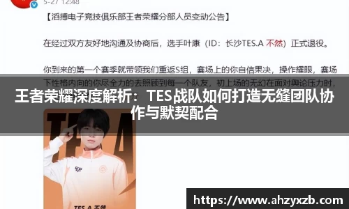 王者荣耀深度解析：TES战队如何打造无缝团队协作与默契配合