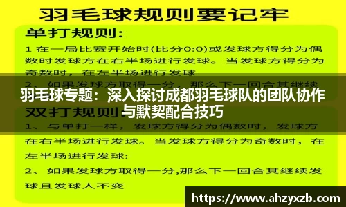 羽毛球专题：深入探讨成都羽毛球队的团队协作与默契配合技巧